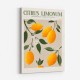 Citrus Limonum