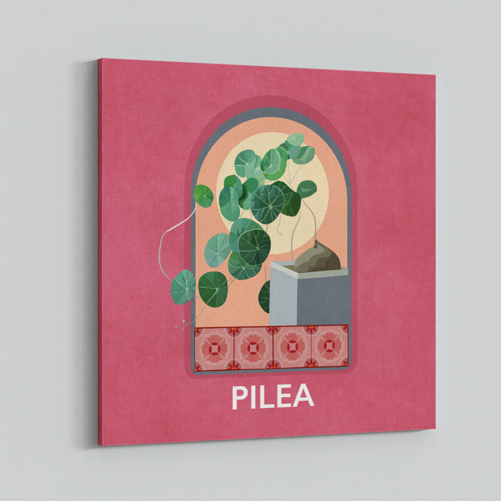 Green Sets Pilea