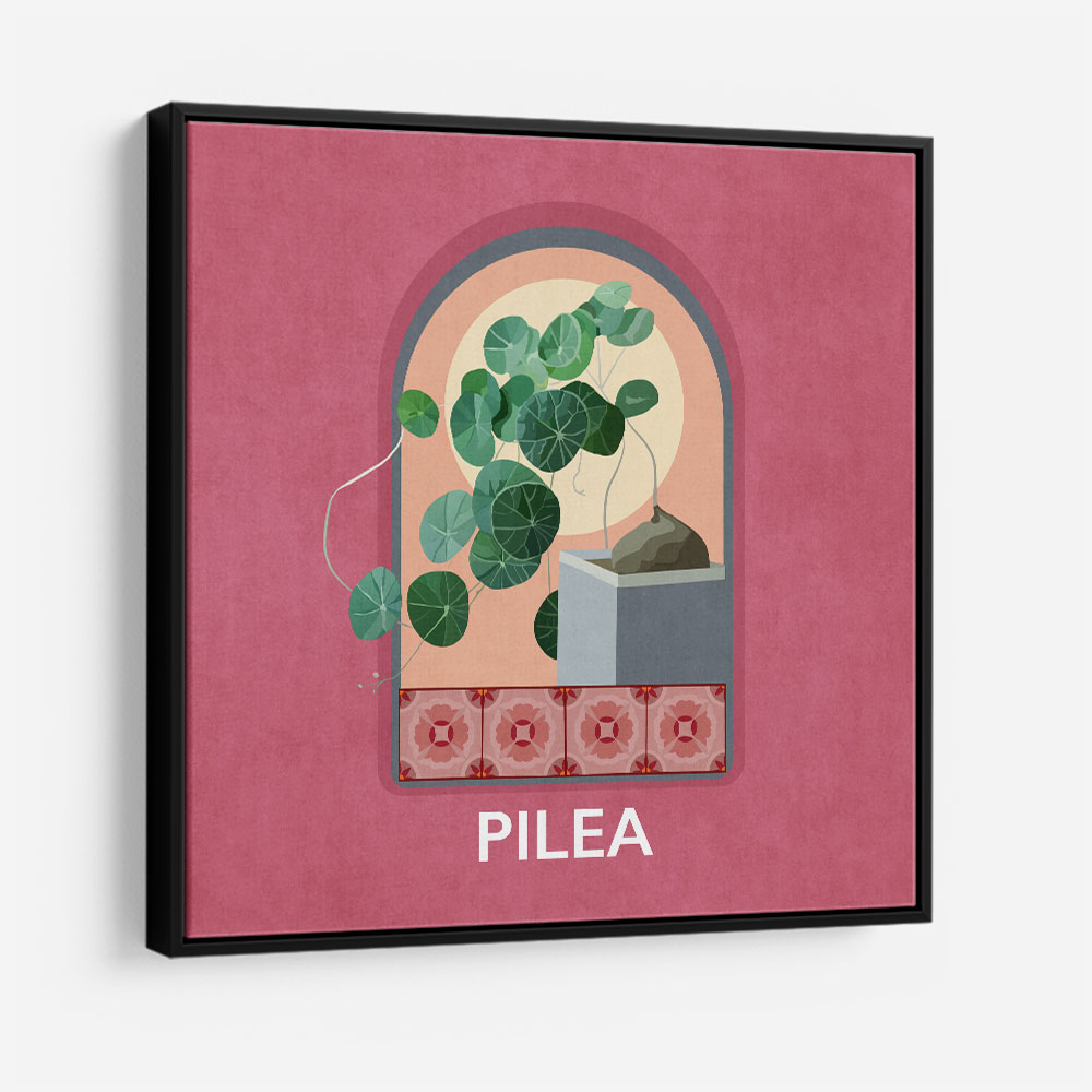 Green Sets Pilea