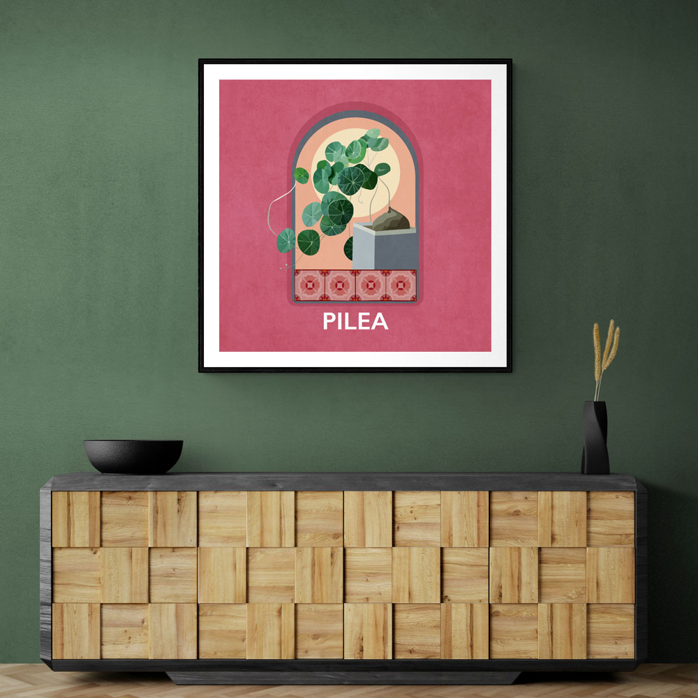 Green Sets Pilea