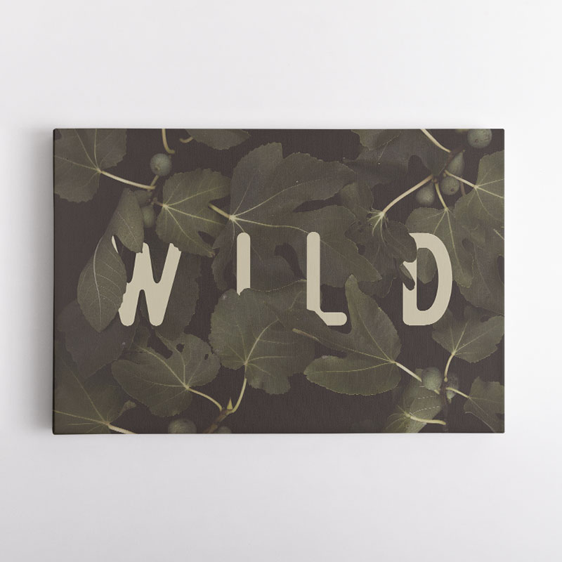 Wild NAo2