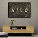 Wild NAo2