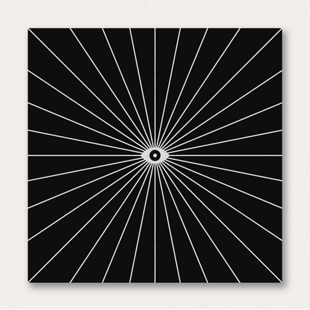 Big Brother Inverted