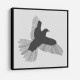 Bird Grey