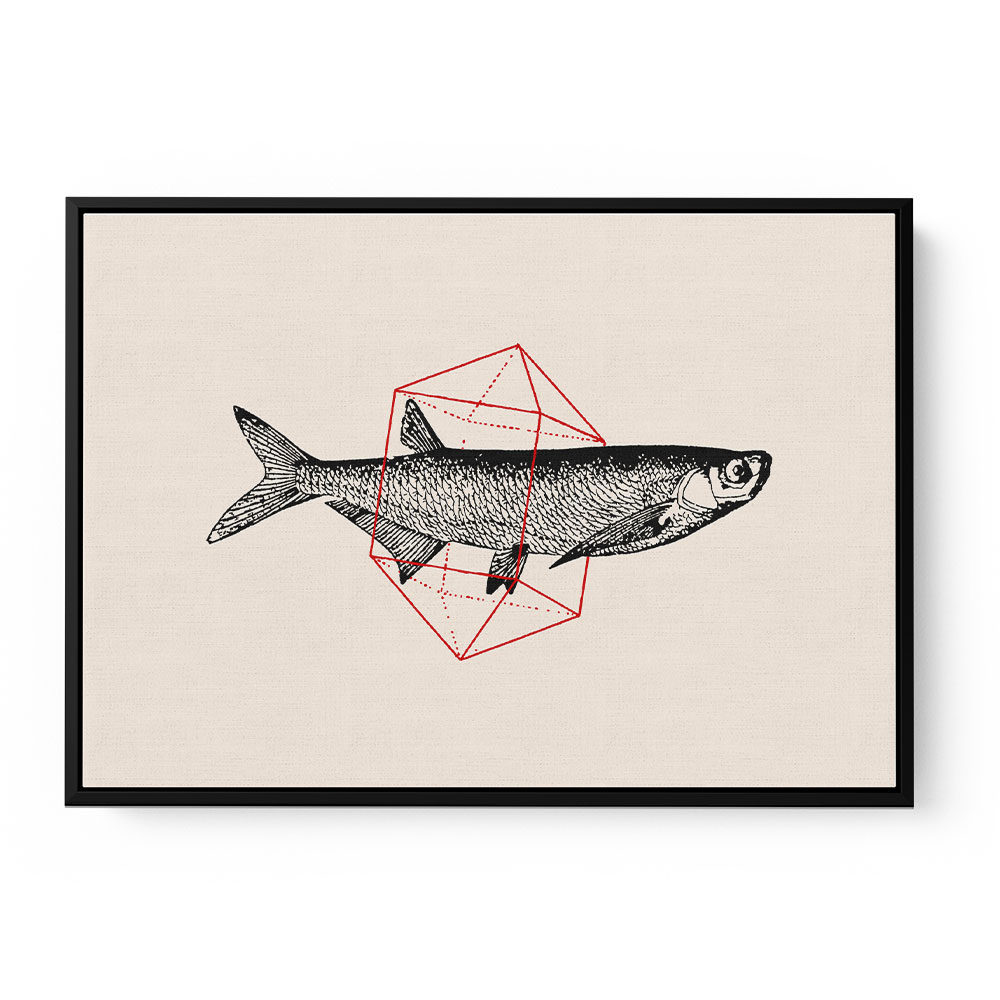 Fish In Geometrics NAo2