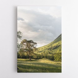 Into the Highlands