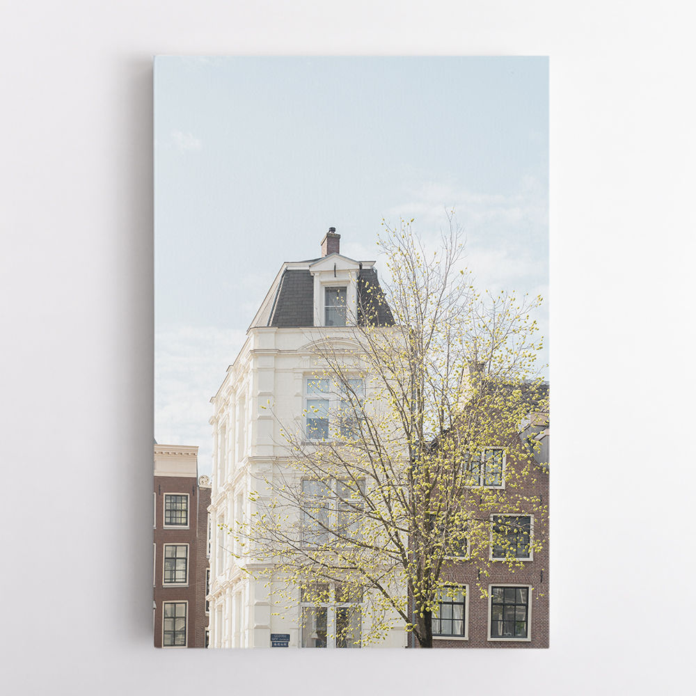 Spring In Amsterdam