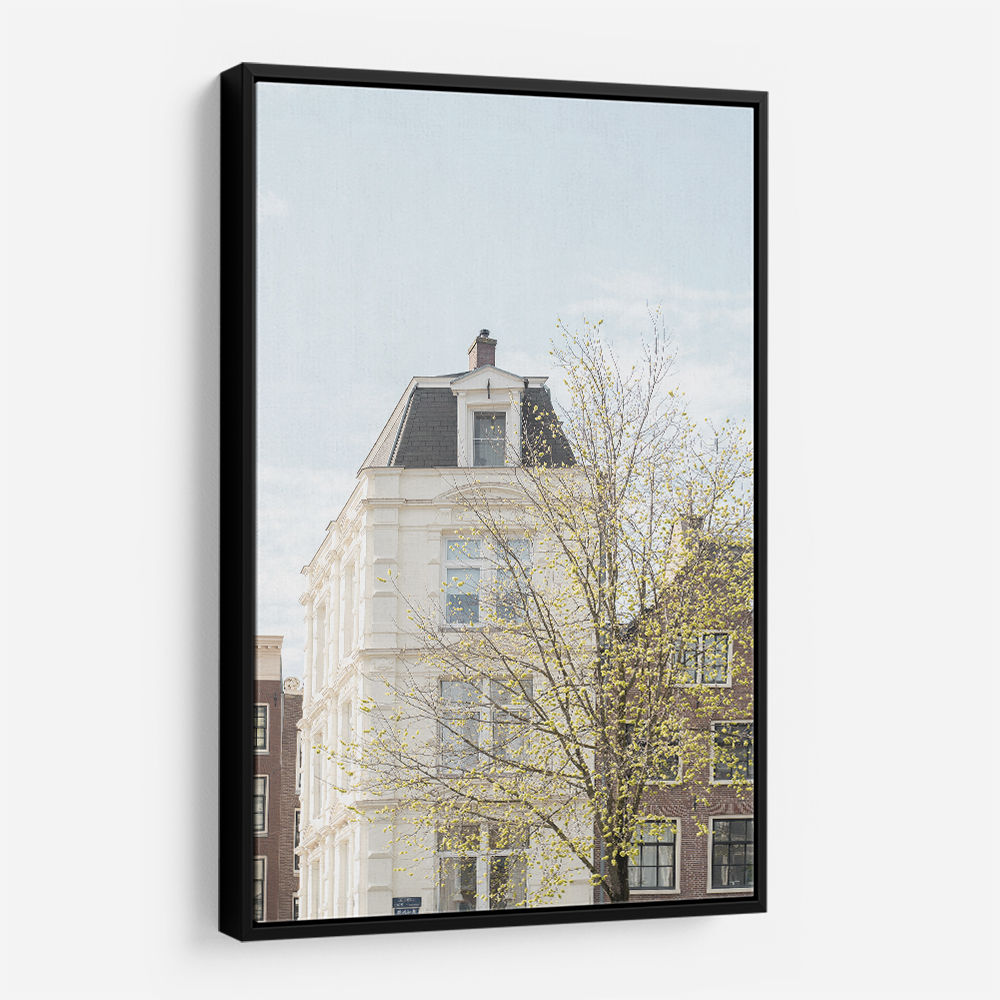 Spring In Amsterdam