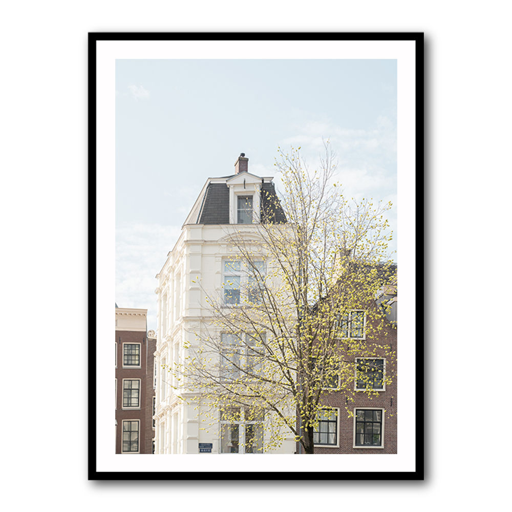 Spring In Amsterdam