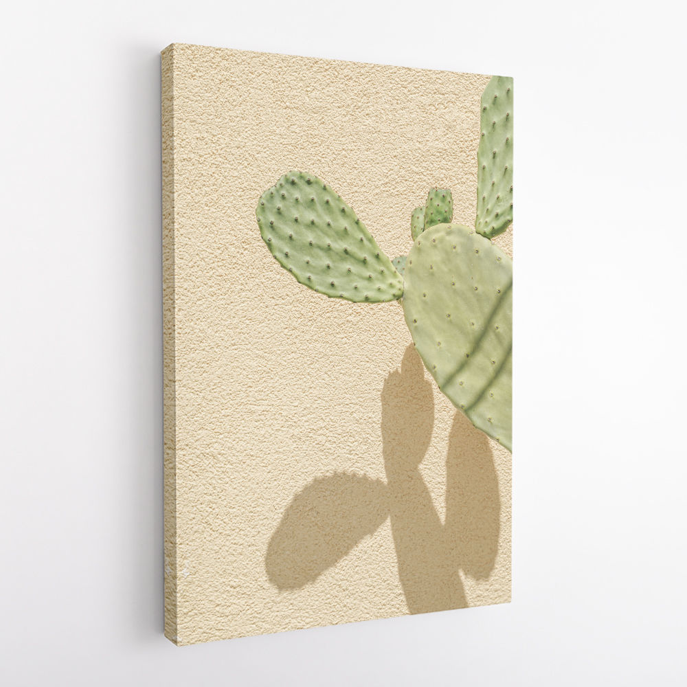 Cacti Shadowplay