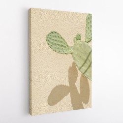 Cacti Shadowplay