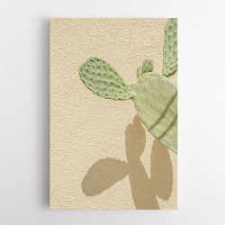 Cacti Shadowplay