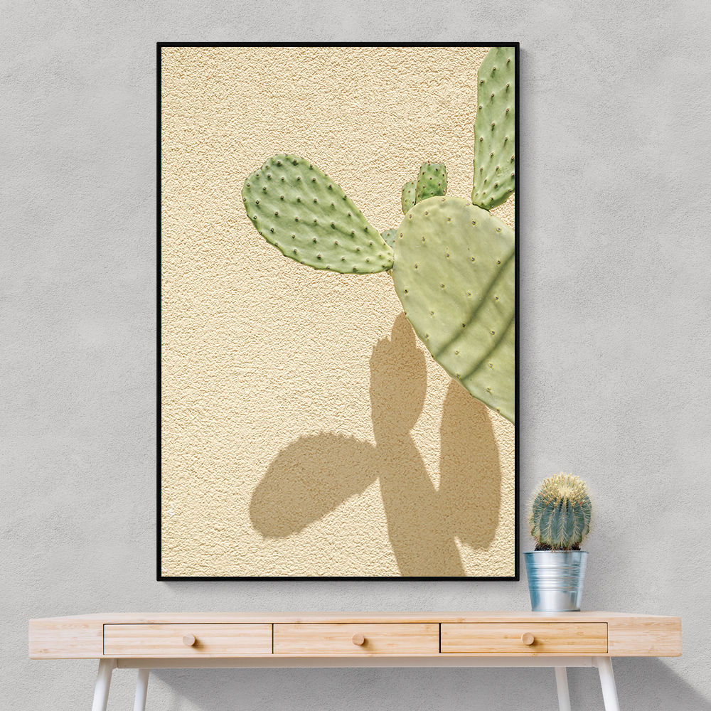 Cacti Shadowplay