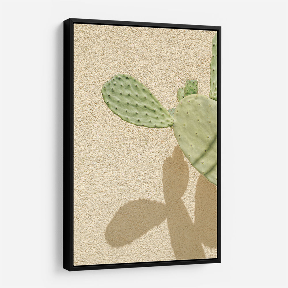 Cacti Shadowplay