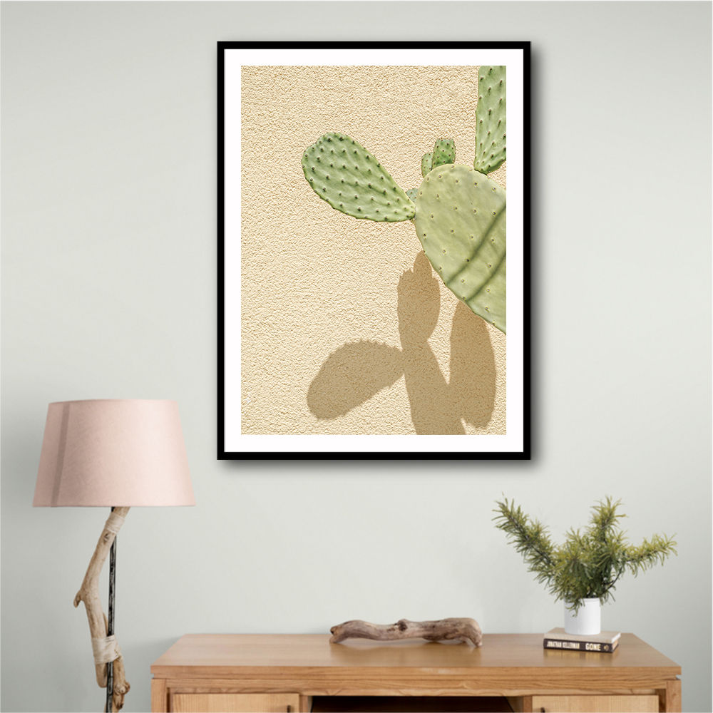 Cacti Shadowplay