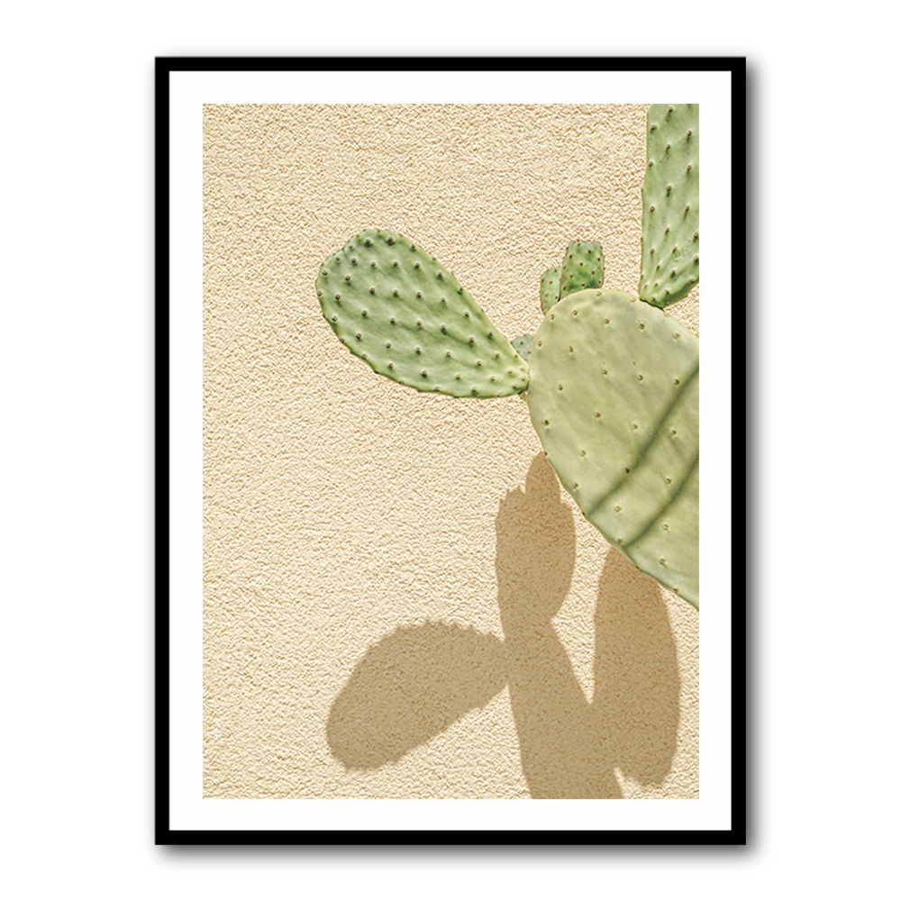 Cacti Shadowplay