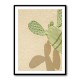 Cacti Shadowplay