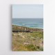Coastal Walk