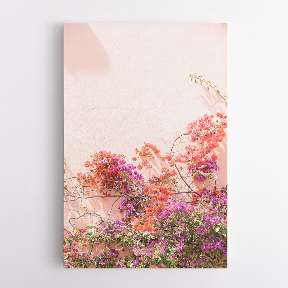 Pink Summer