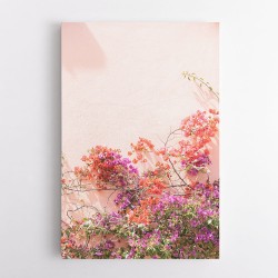 Pink Summer