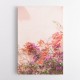 Pink Summer