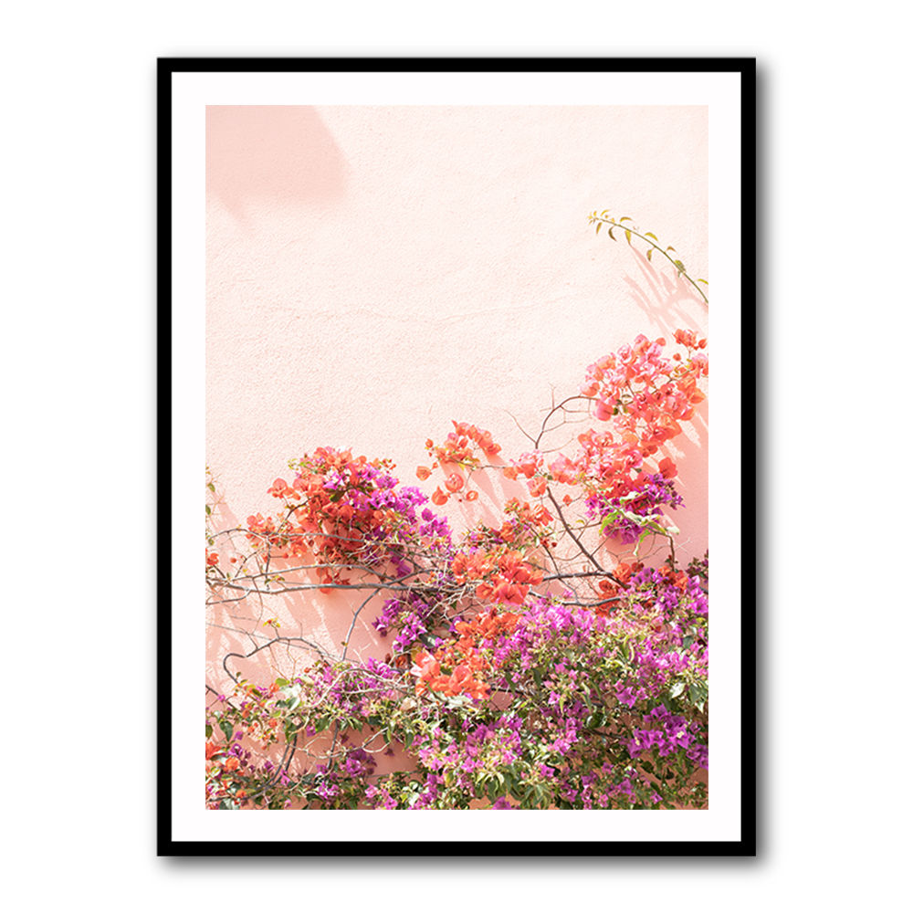 Pink Summer