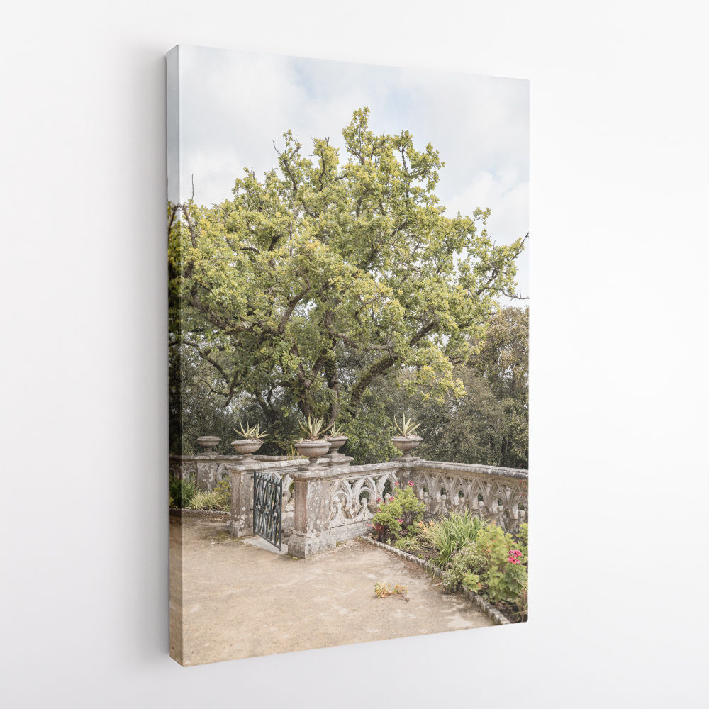 Botanical Garden