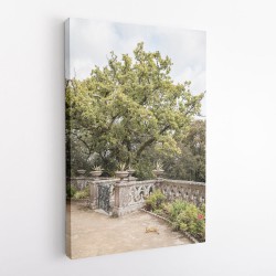 Botanical Garden