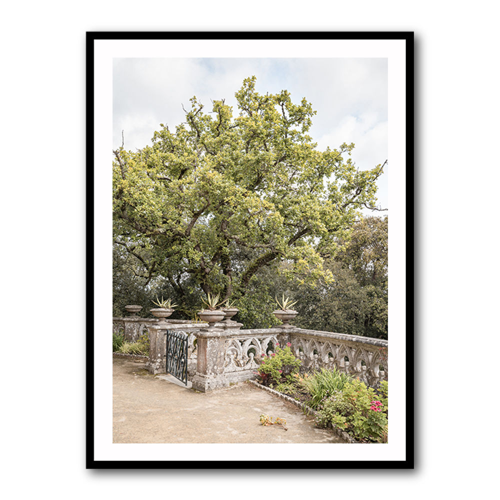 Botanical Garden