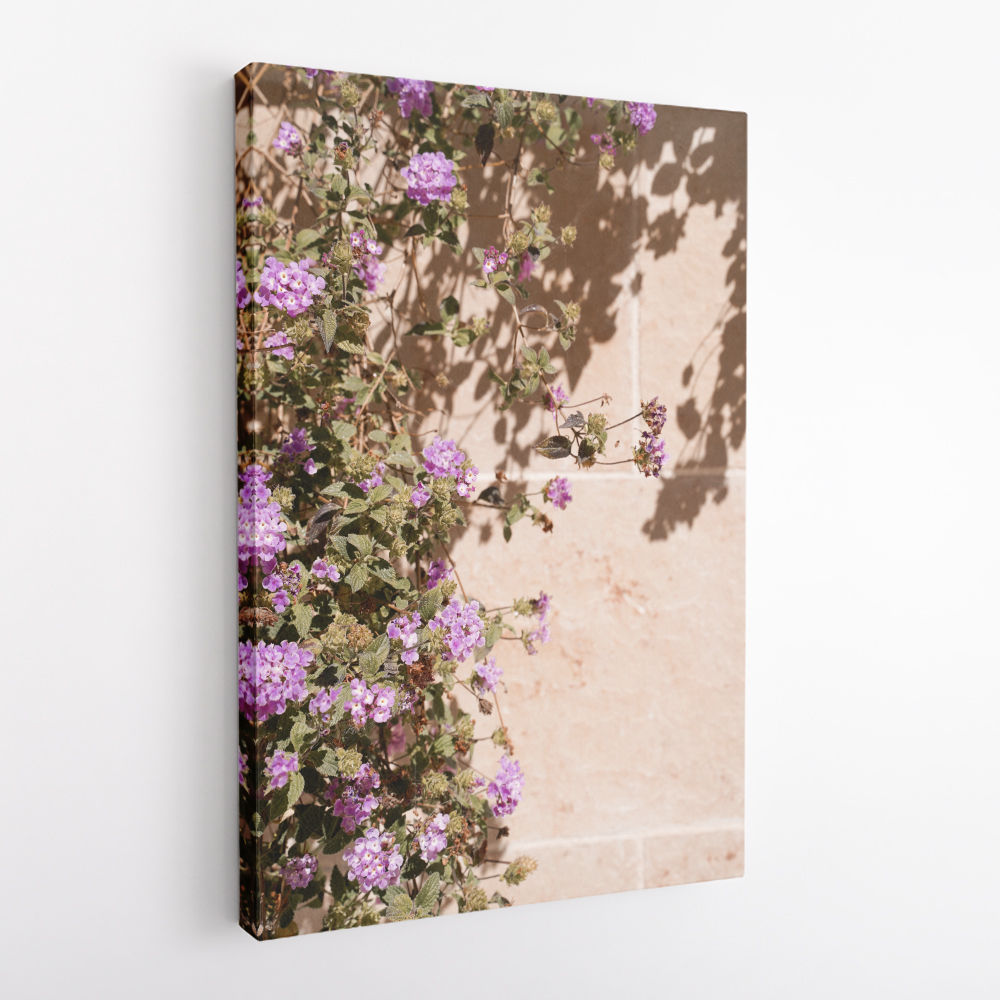 Lilac Summer