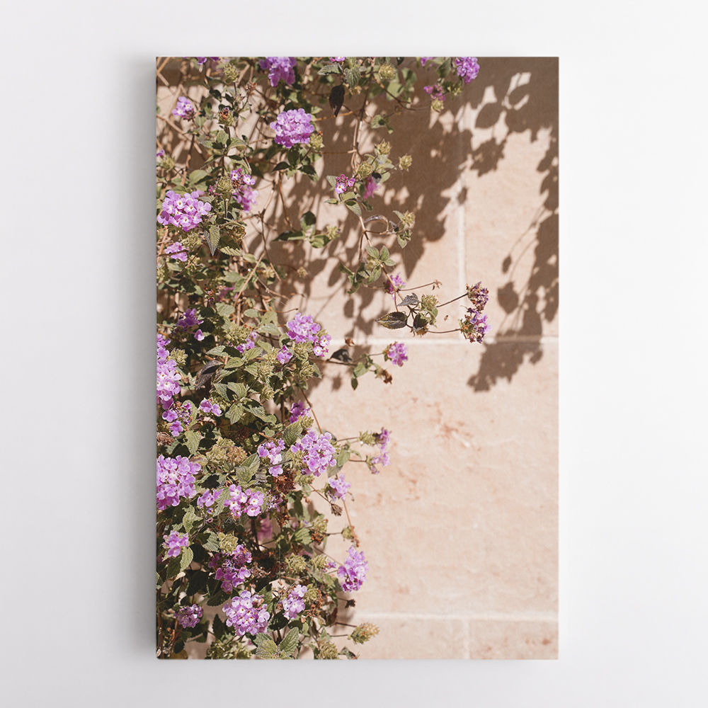 Lilac Summer