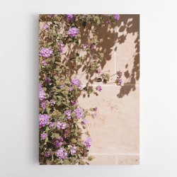 Lilac Summer