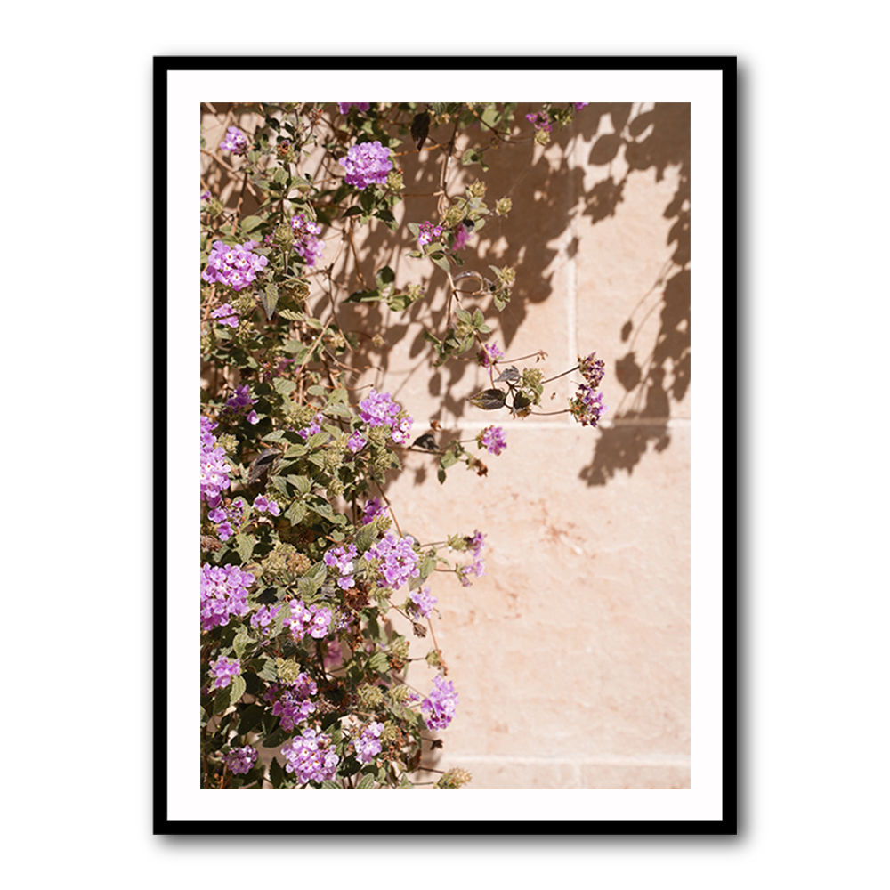 Lilac Summer