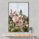 Garden Roses