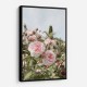 Garden Roses