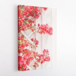 White a Pink