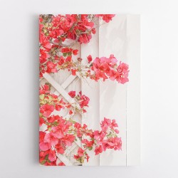 White a Pink