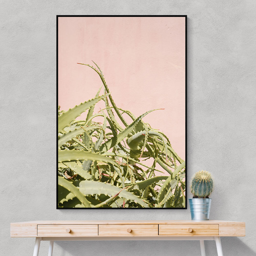 Cacti on Pink