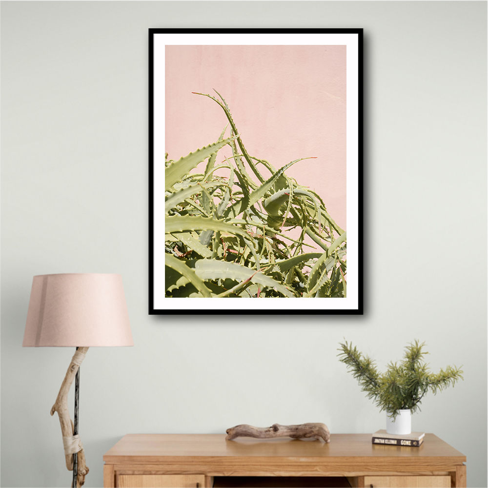 Cacti on Pink