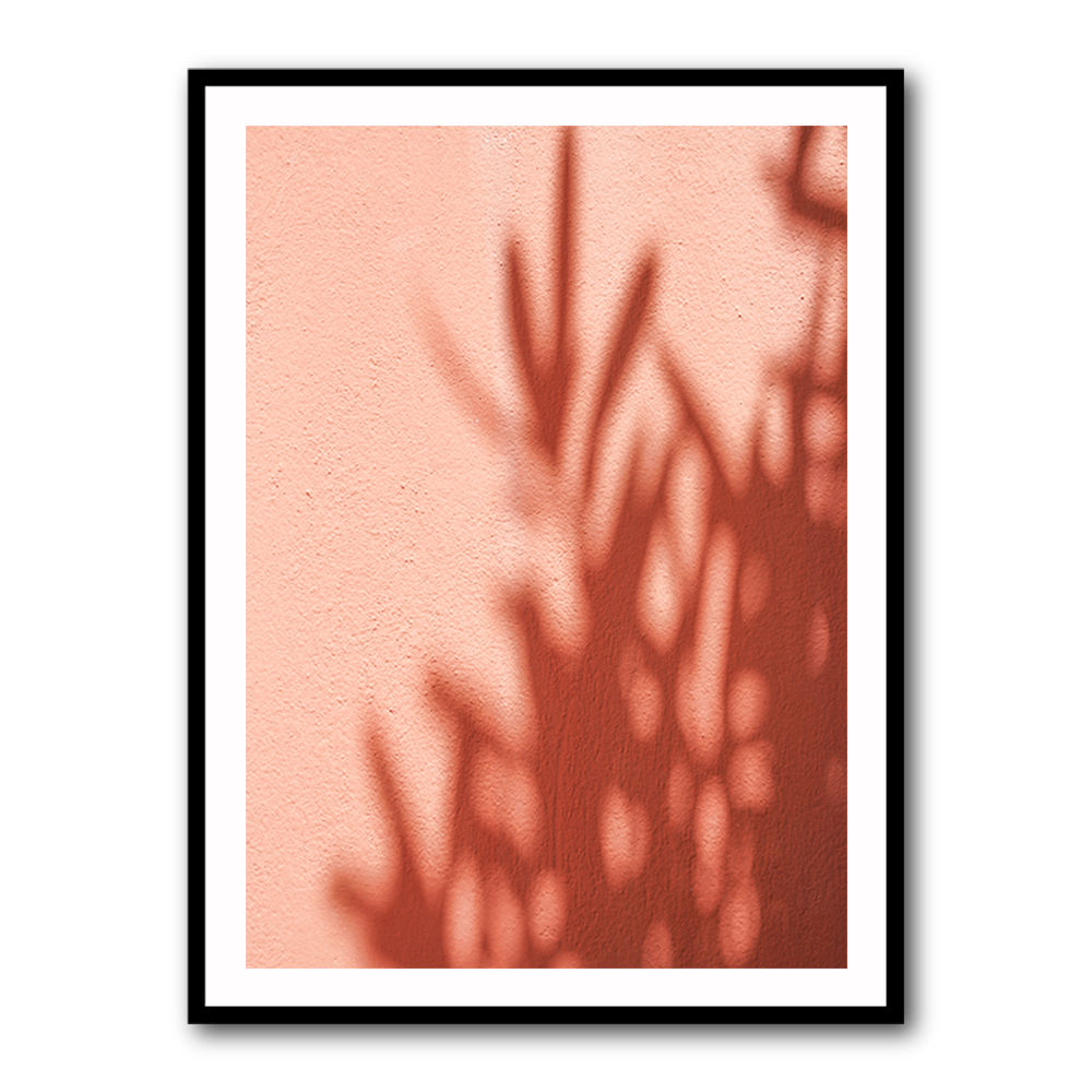 Shadows