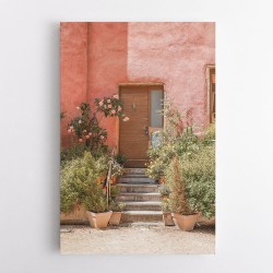 The Pink House
