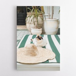 Cat In Marrakech
