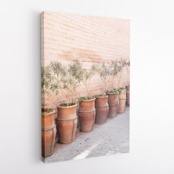 Terracotta