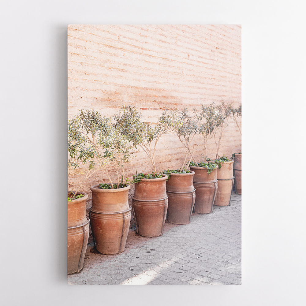 Terracotta