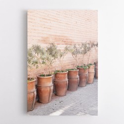 Terracotta