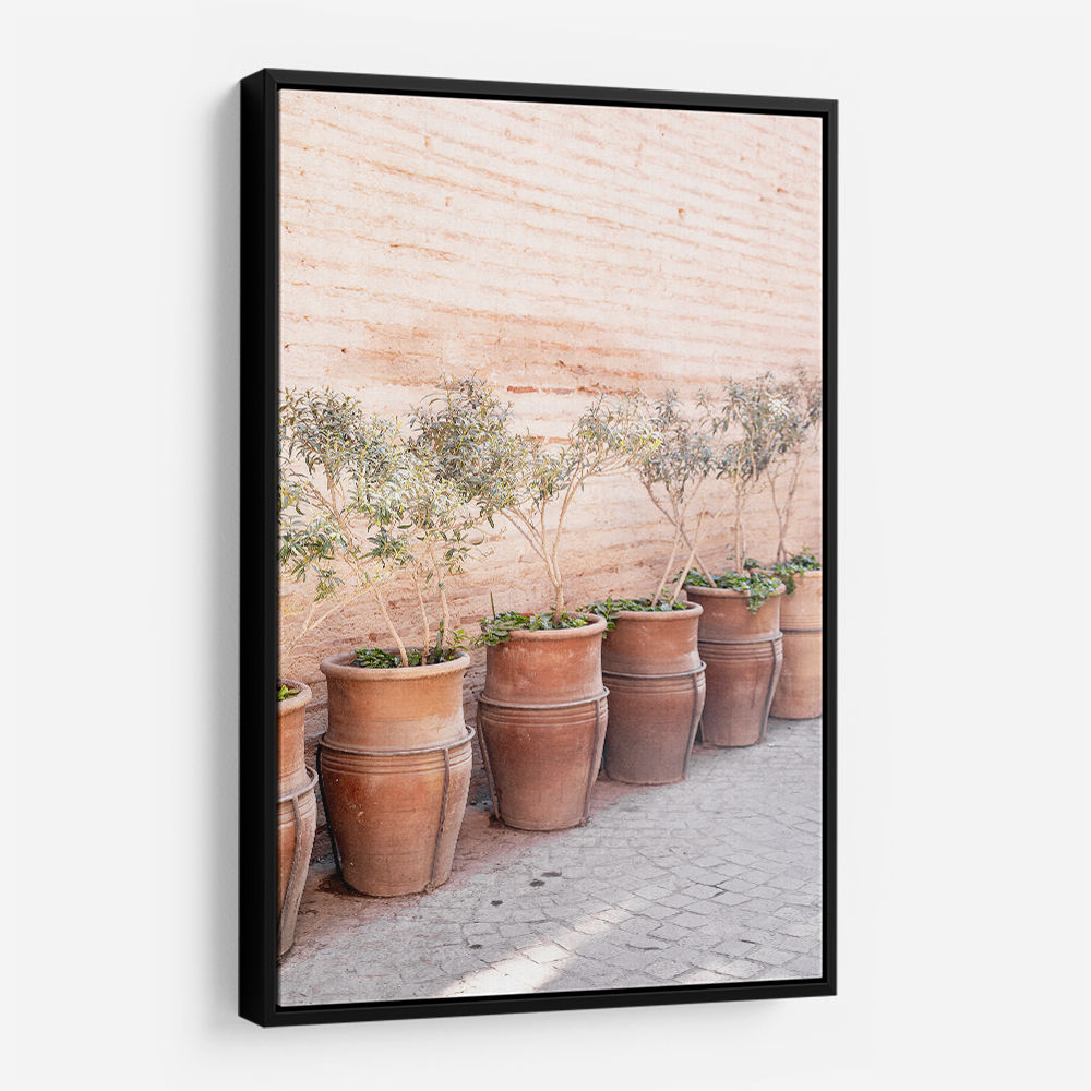 Terracotta