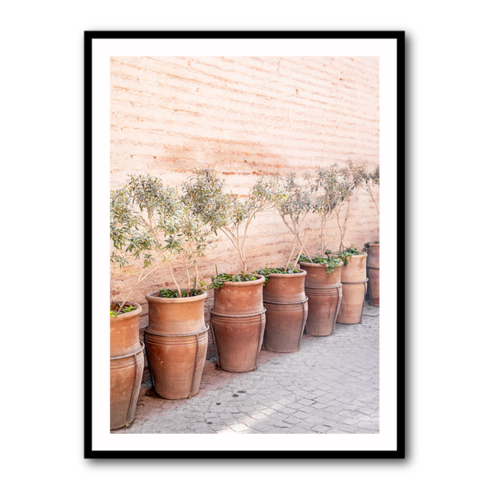 Terracotta