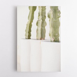 Green and White