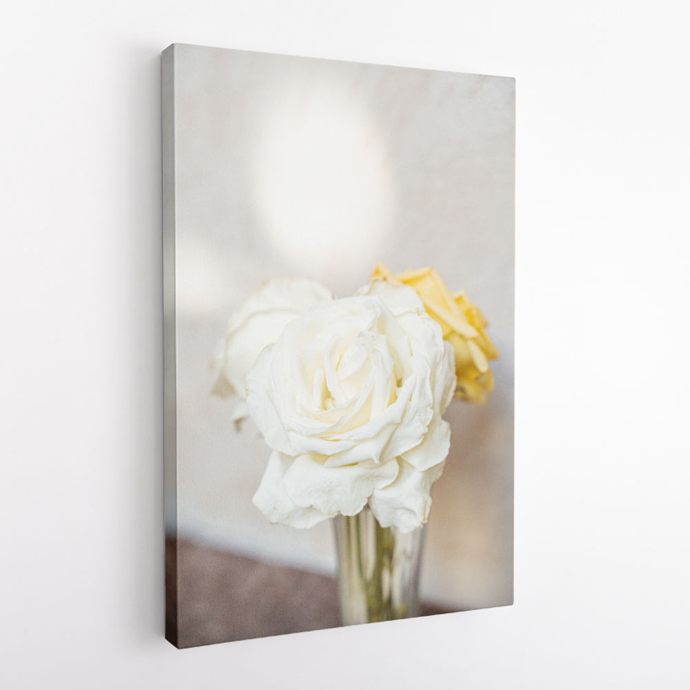 White Roses