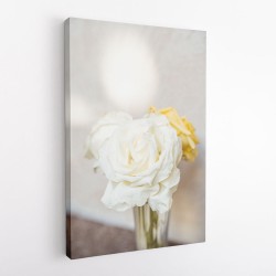 White Roses